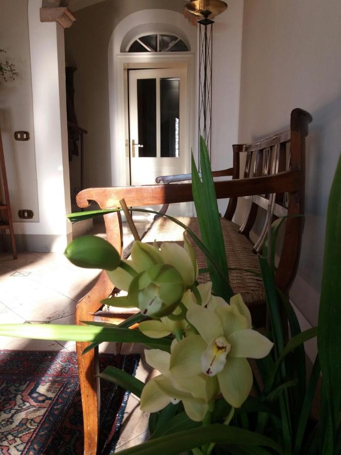 B&B Il Naviglio Di Antonelli Fabio Bastiglia Buitenkant foto