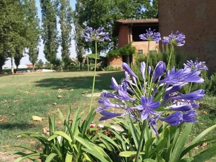 B&B Il Naviglio Di Antonelli Fabio Bastiglia Buitenkant foto
